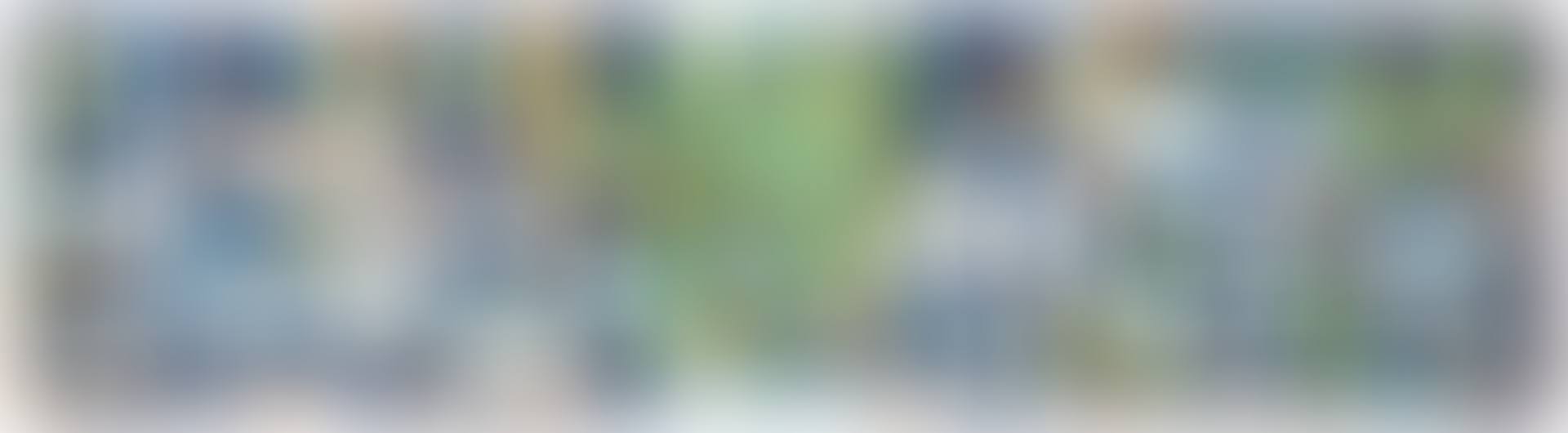 A tapestry (preview)