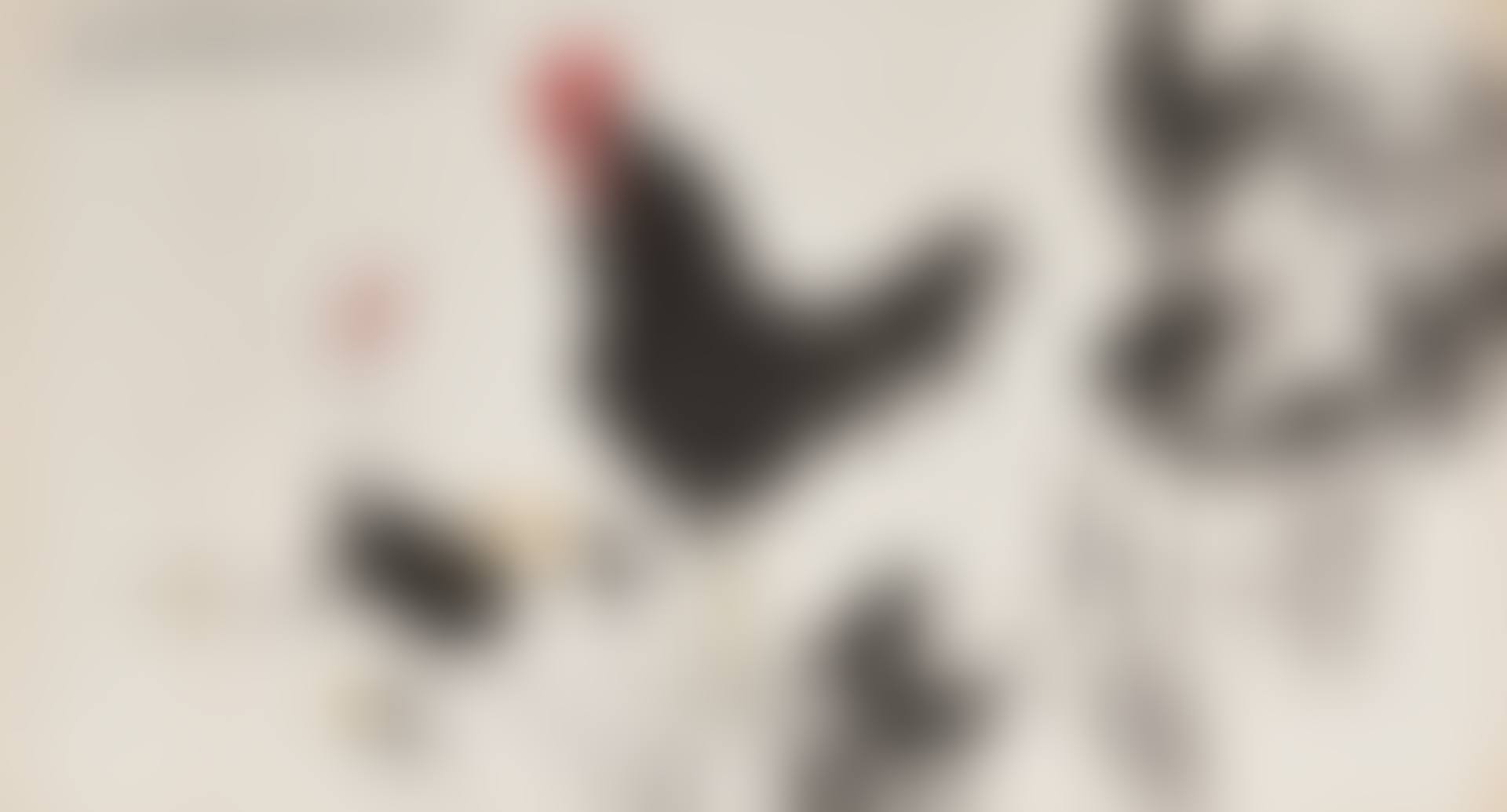 Family (preview)