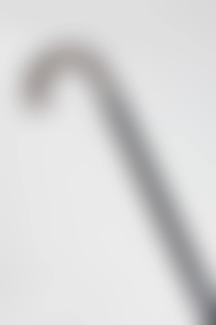 walking stick (preview)