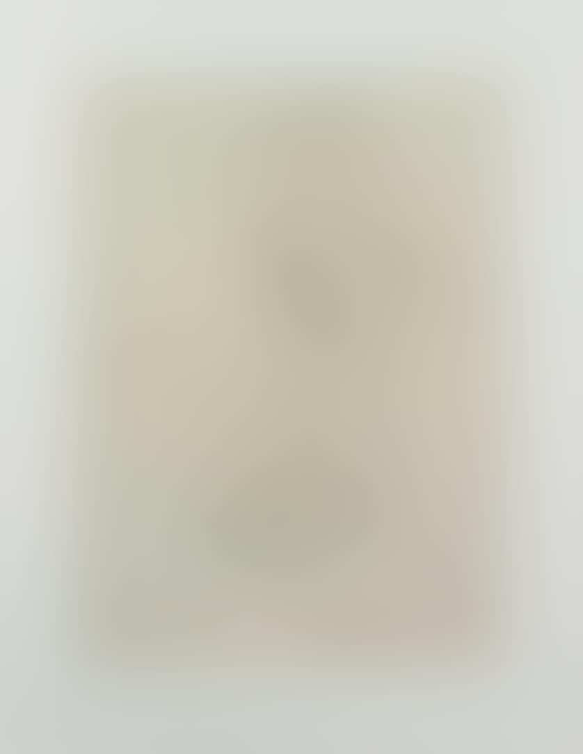 "Portrait of an old man" (preview)