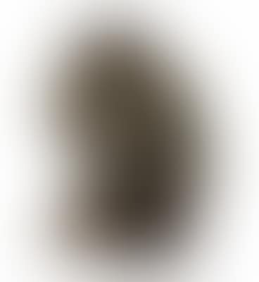 Selbstbildnis (preview)