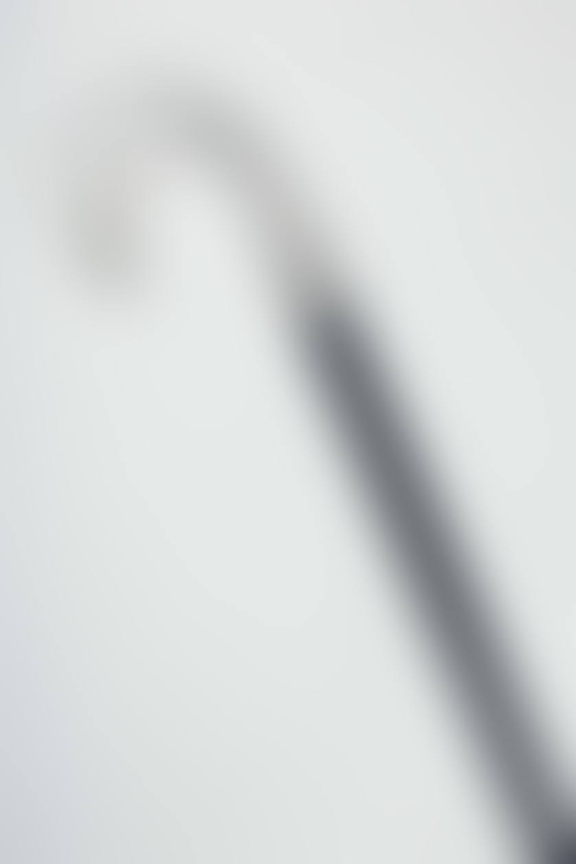 Walking stick (preview)