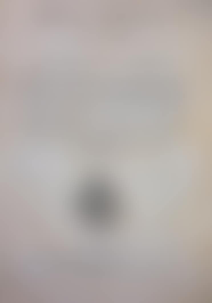 ROYAL CERTIFICATE OF SM AND GENTLEMEN OF THE COUNCIL (preview)