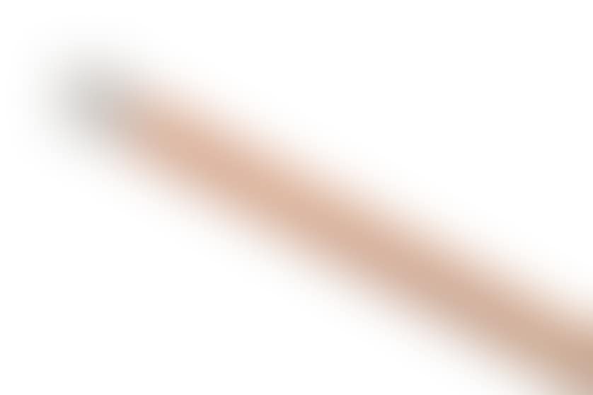 A walking stick (preview)