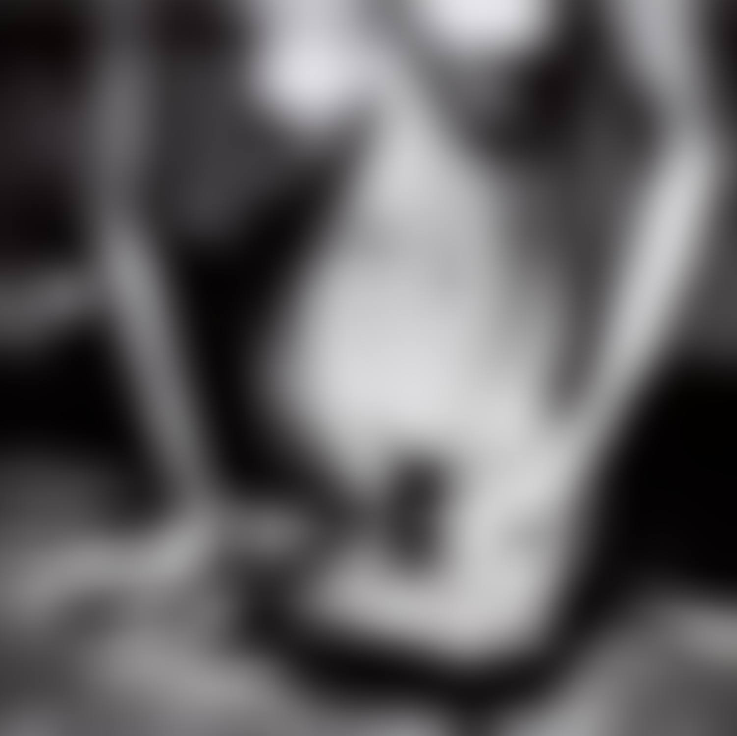 Anonymous, Monte Carlo (preview)