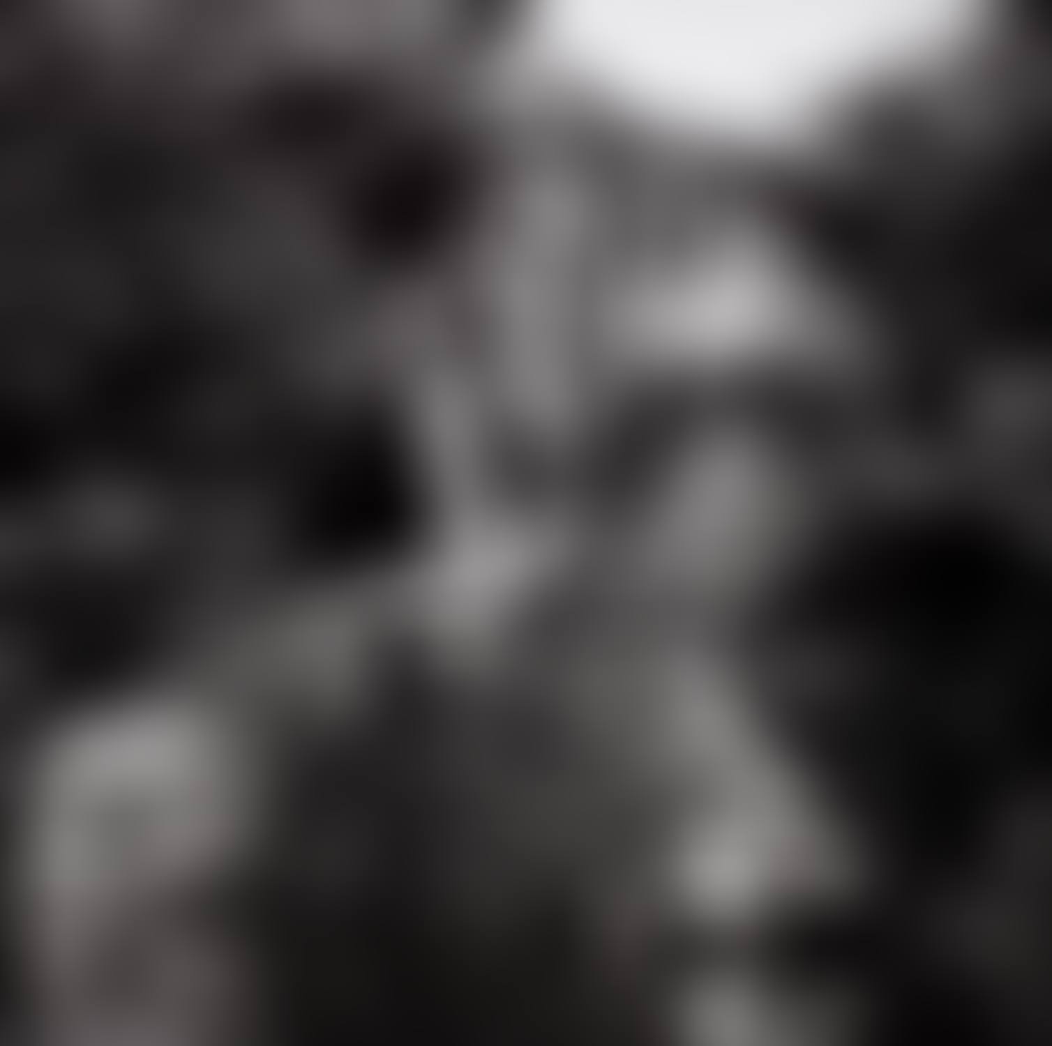 Colosso dell"Appennino, Florence (preview)