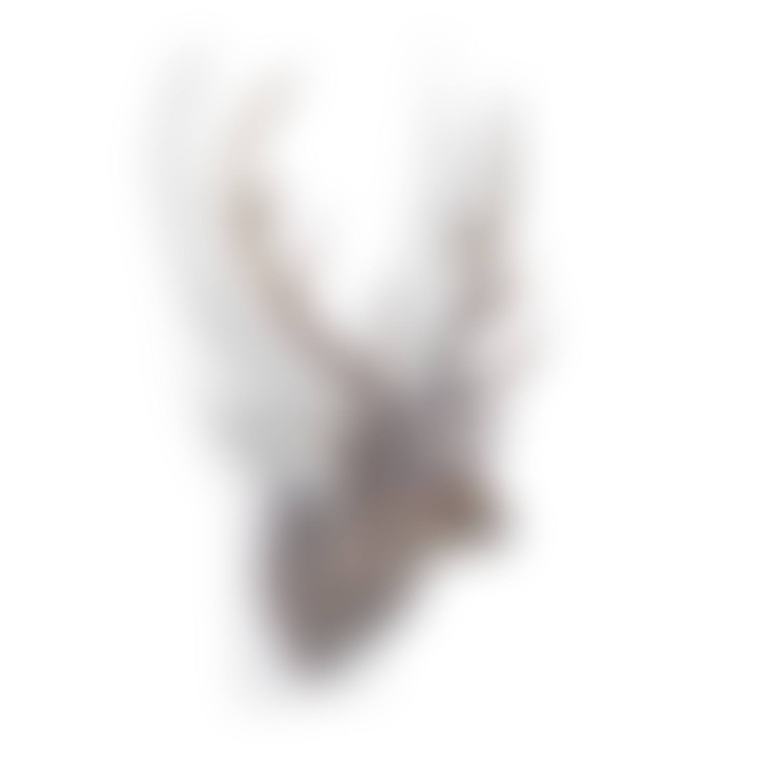 PixCell-Deer #10 (preview)