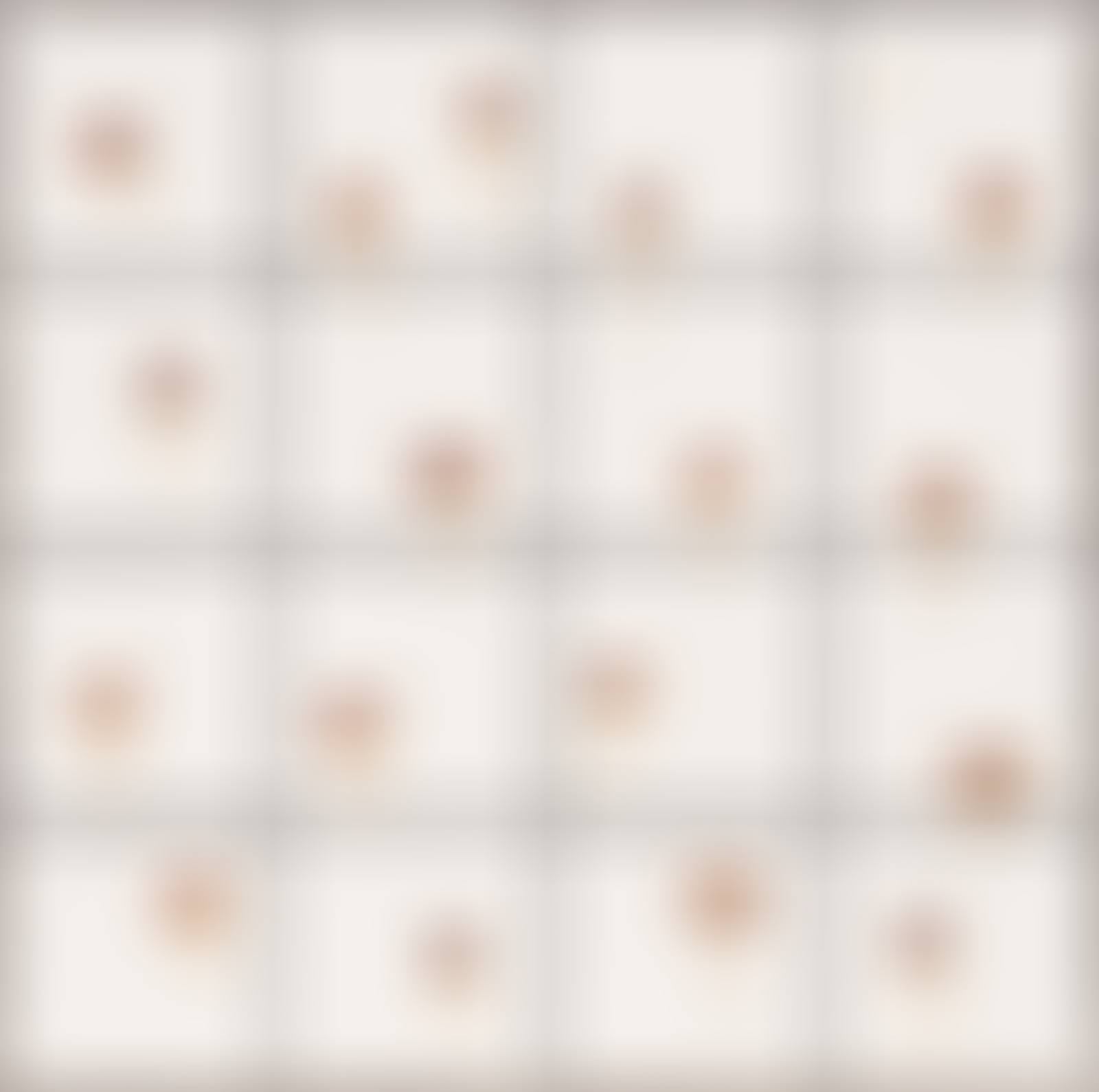 Tiles + Dried Flowers (preview)