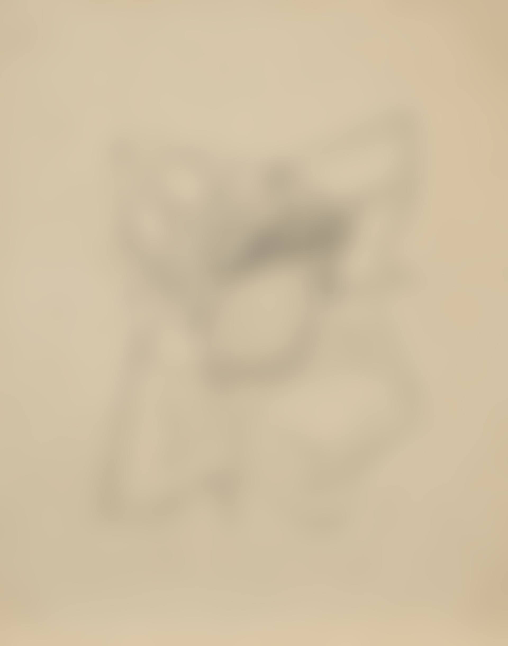 Nature morte au vase et au journal (preview)