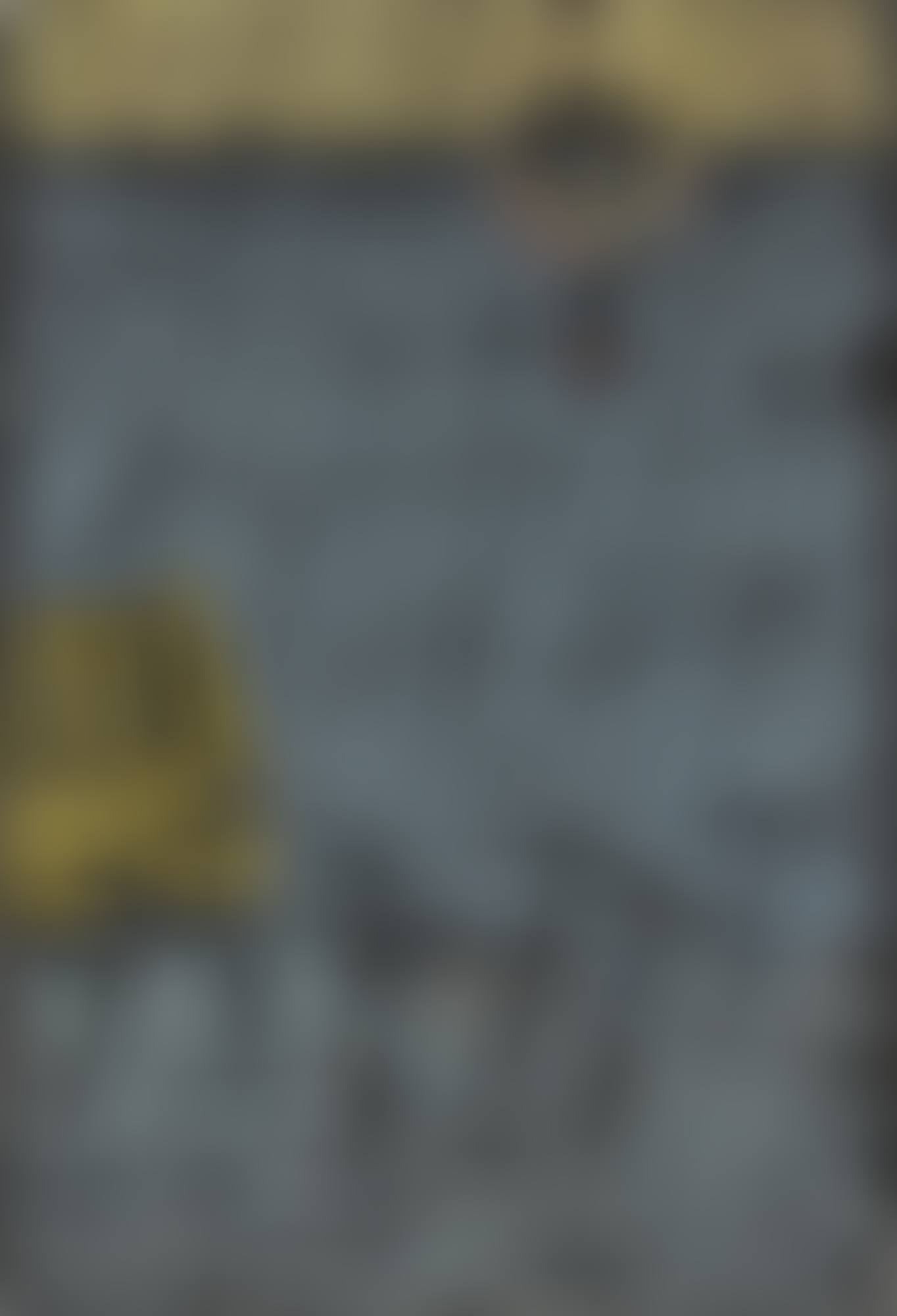 Grosser Regen II (preview)