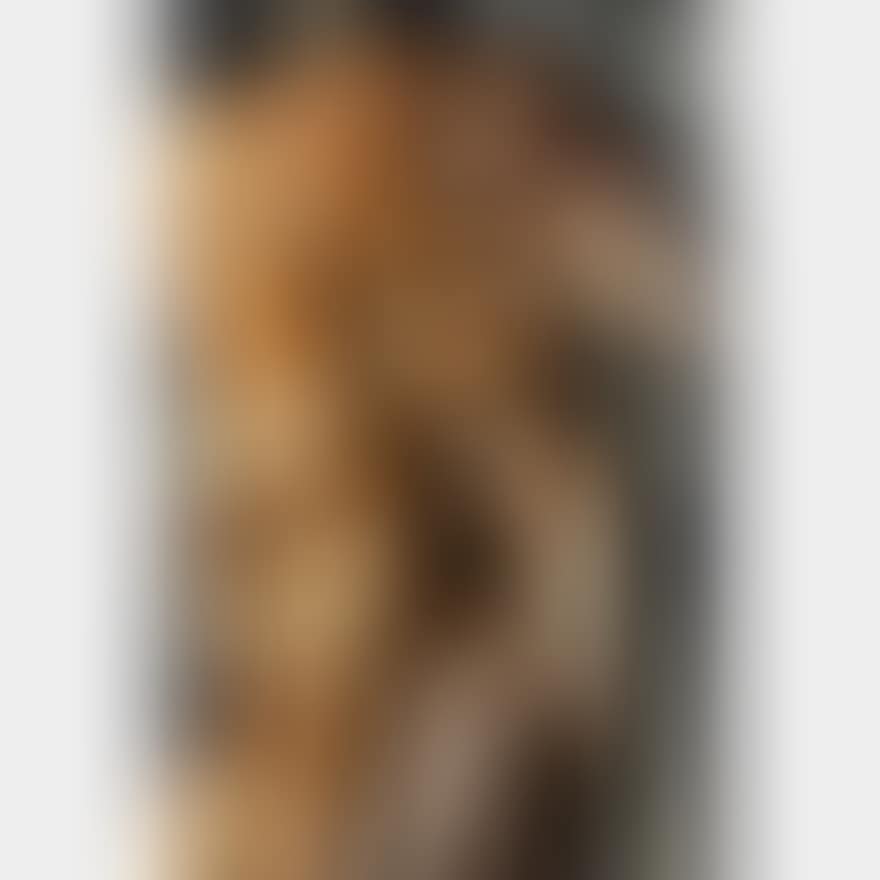 ADAM AND EVE (preview)