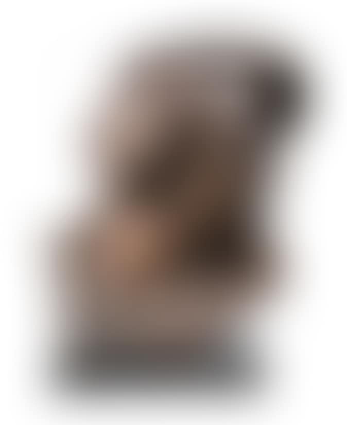 BUST OF FRYDERYK CHOPIN (preview)