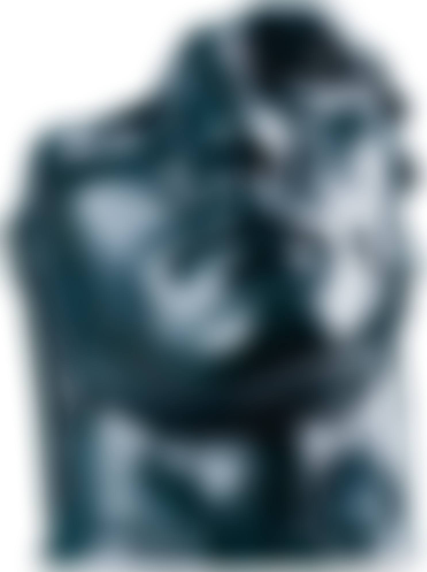 CENTURION II (preview)