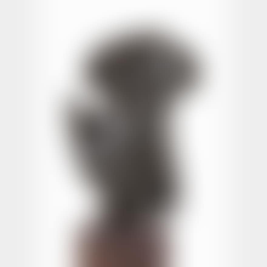 TORSO ALATO (preview)