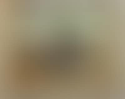 Wilde Fahrt (preview)