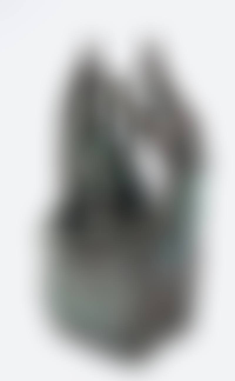 Dżok the dog monument (preview)