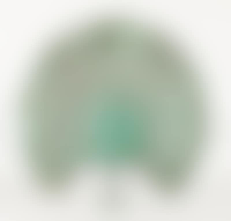 Peacock (preview)