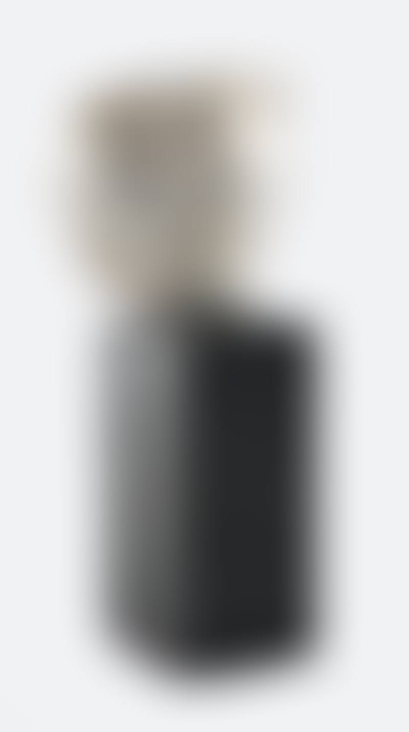 The Veiled Face (preview)