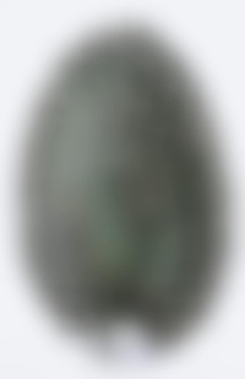 Peacock (preview)