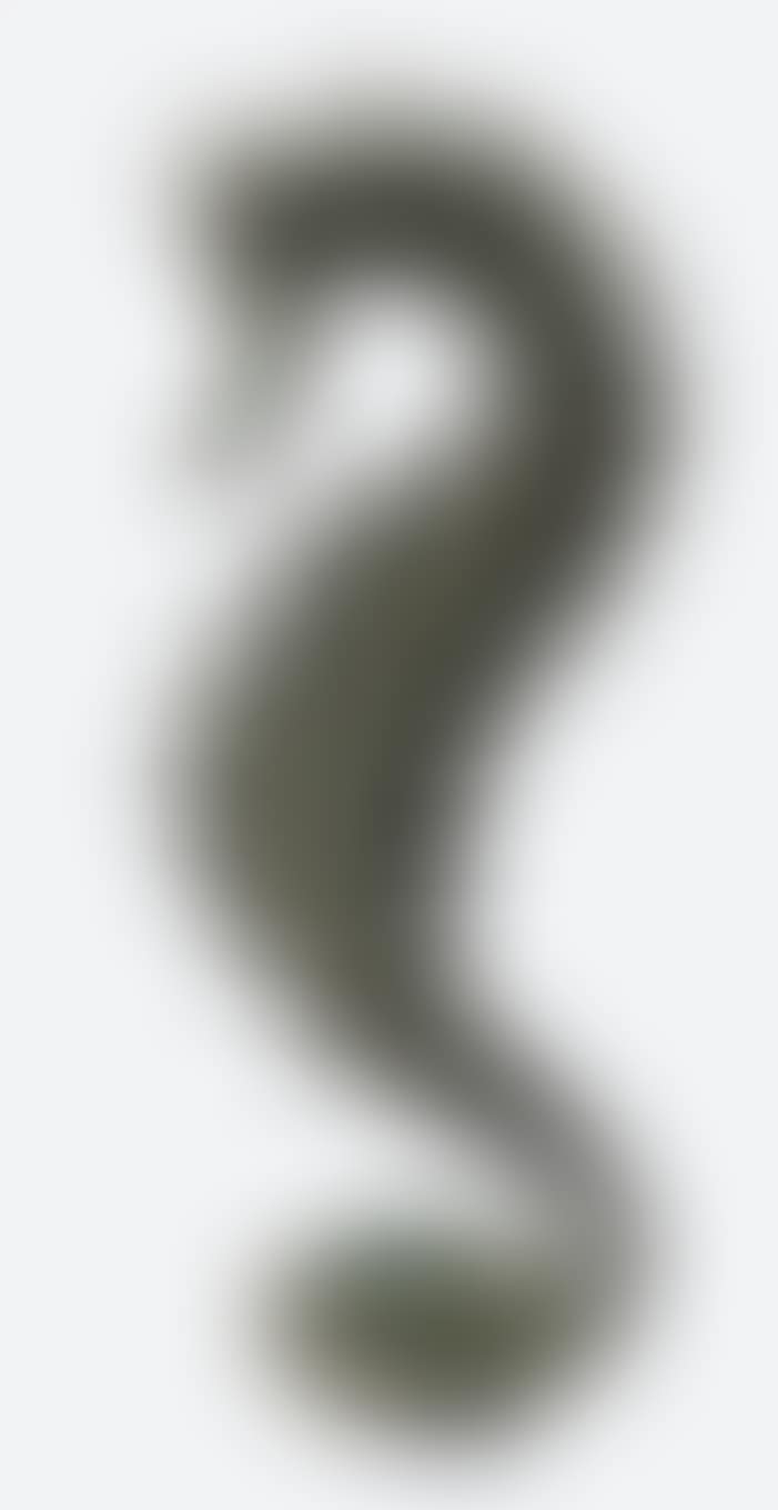 Seahorse (preview)