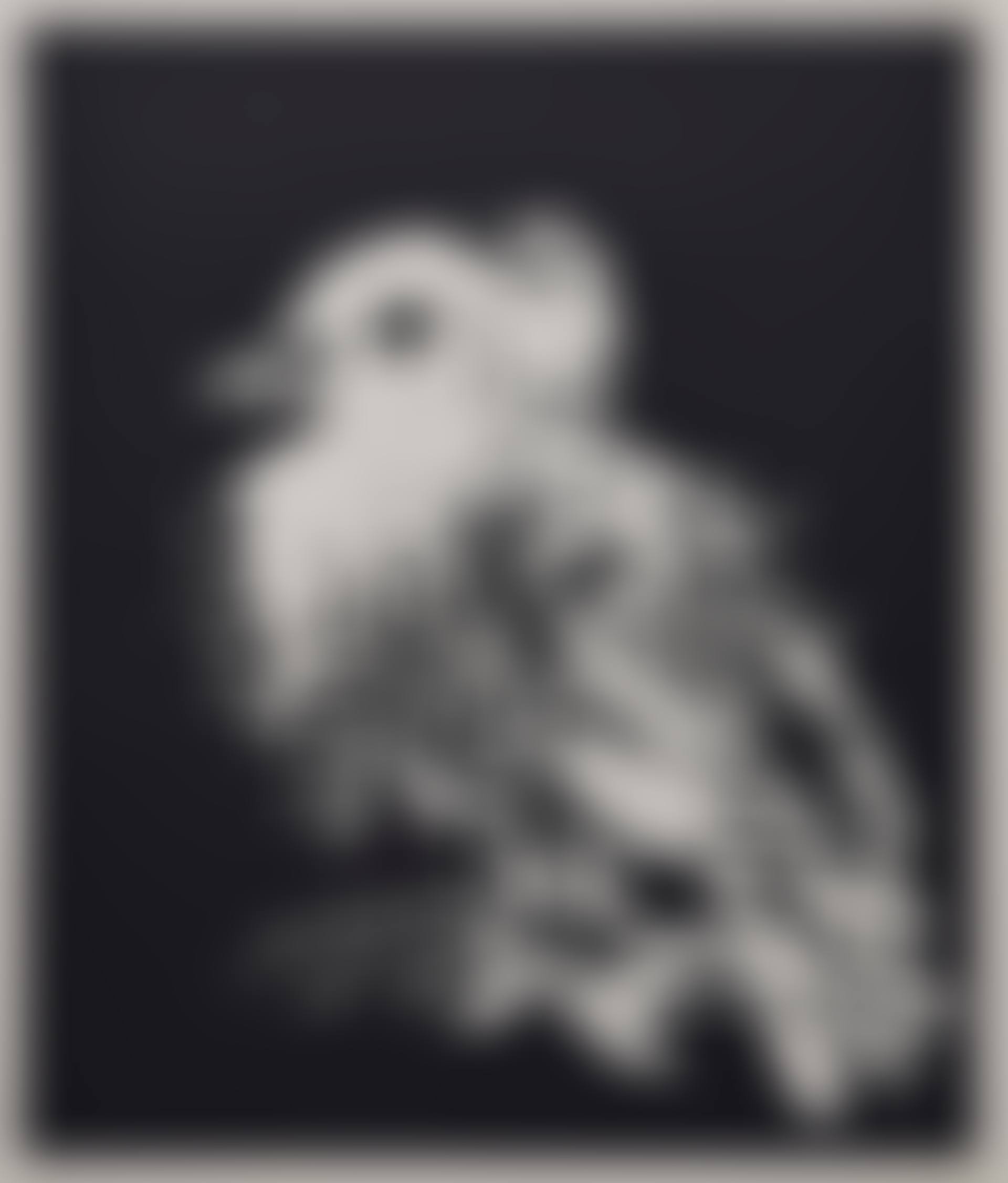 Little bird (preview)