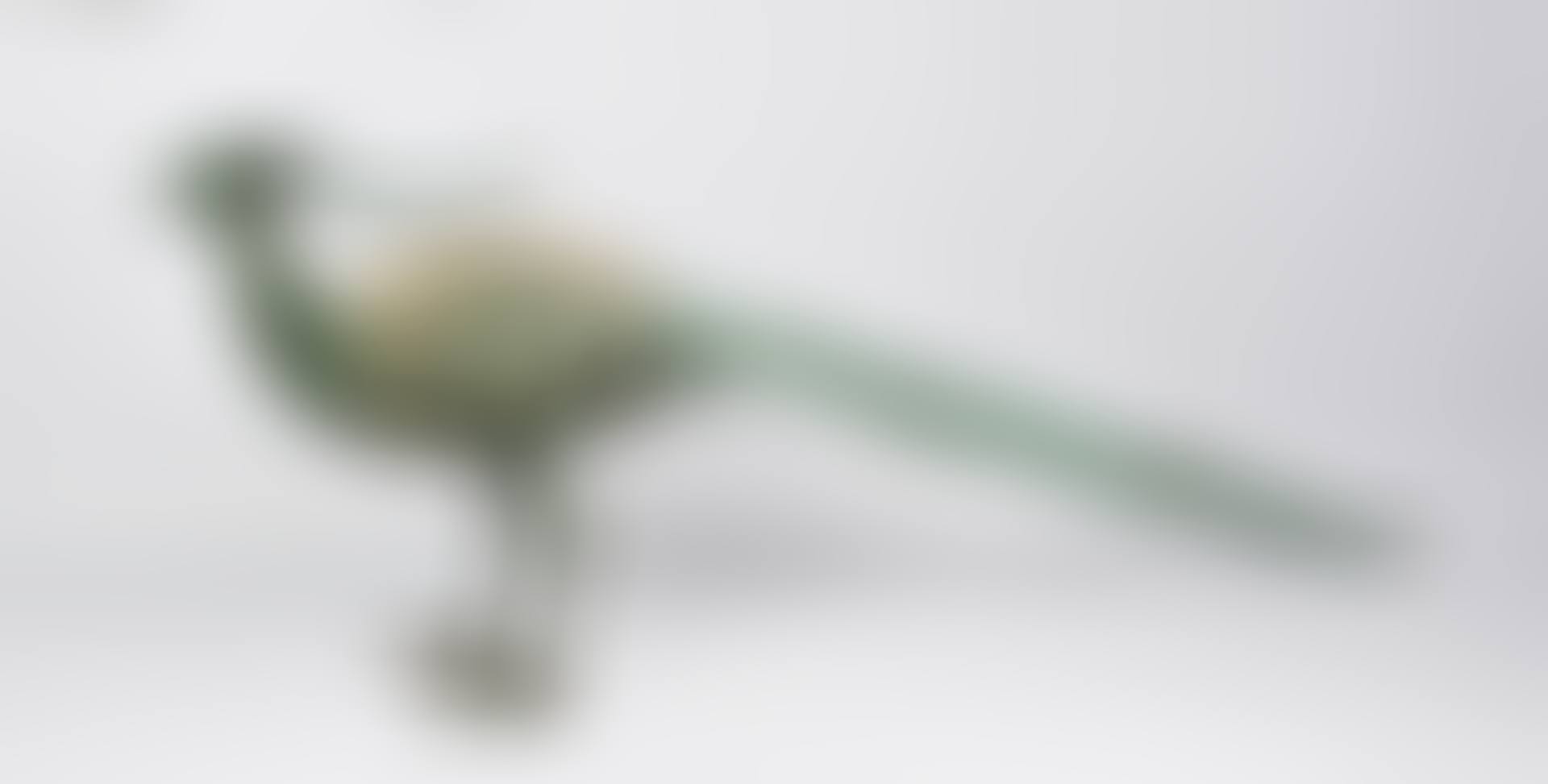 Peacock (preview)