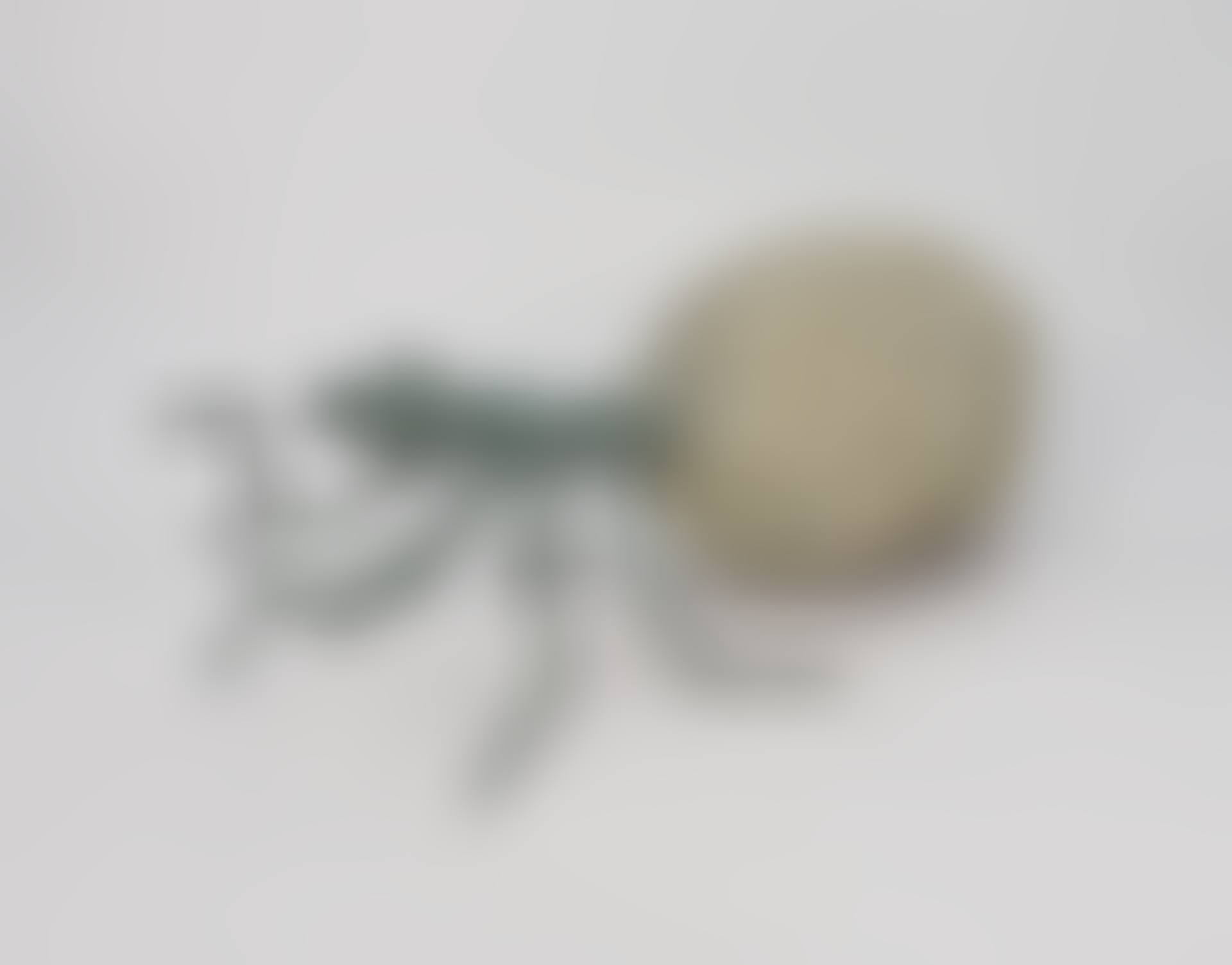 ant (preview)