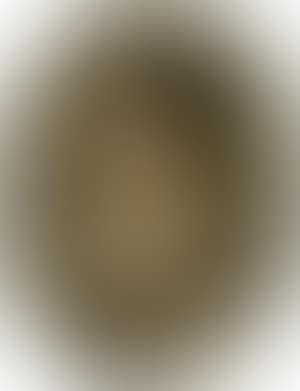 Portrait of a young woman in a striped dress (preview)