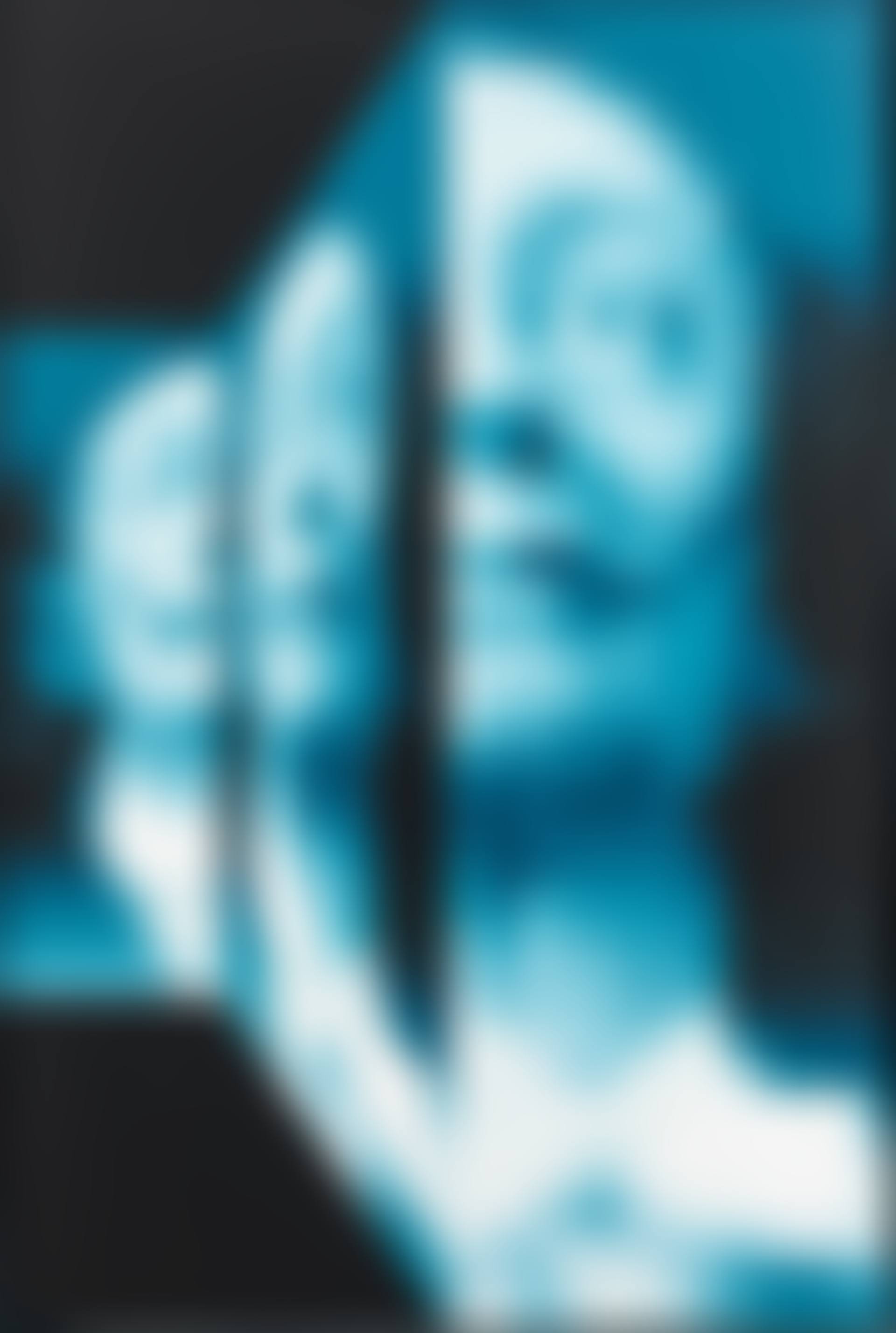 Dali digitalisé (preview)