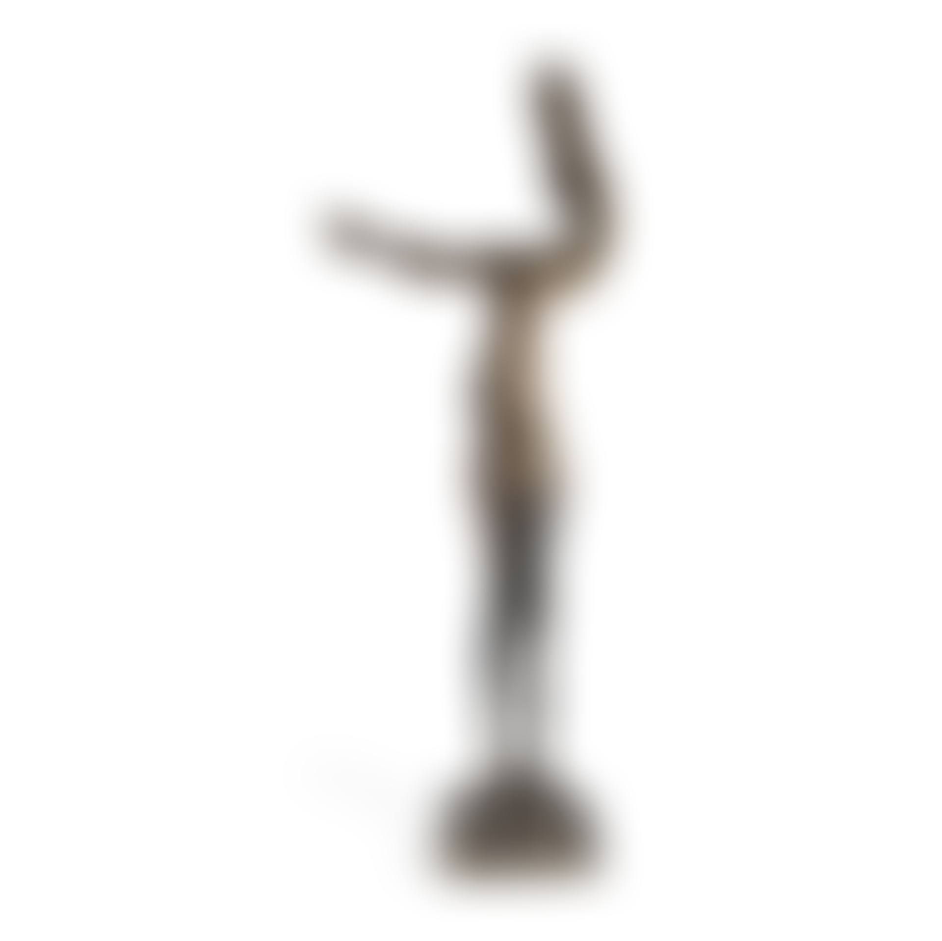 Winged Figure Pointing (preview)