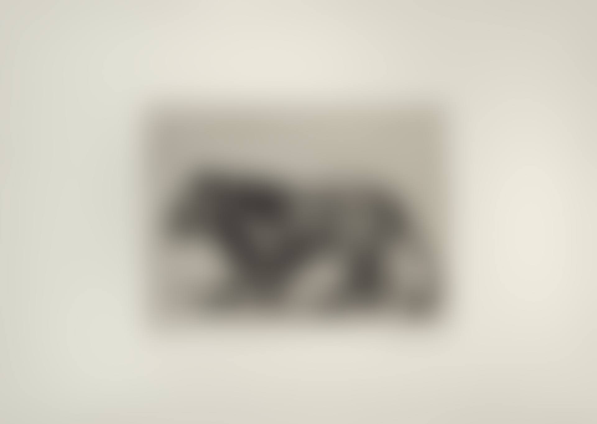 Lion (not in Siebrits) (preview)