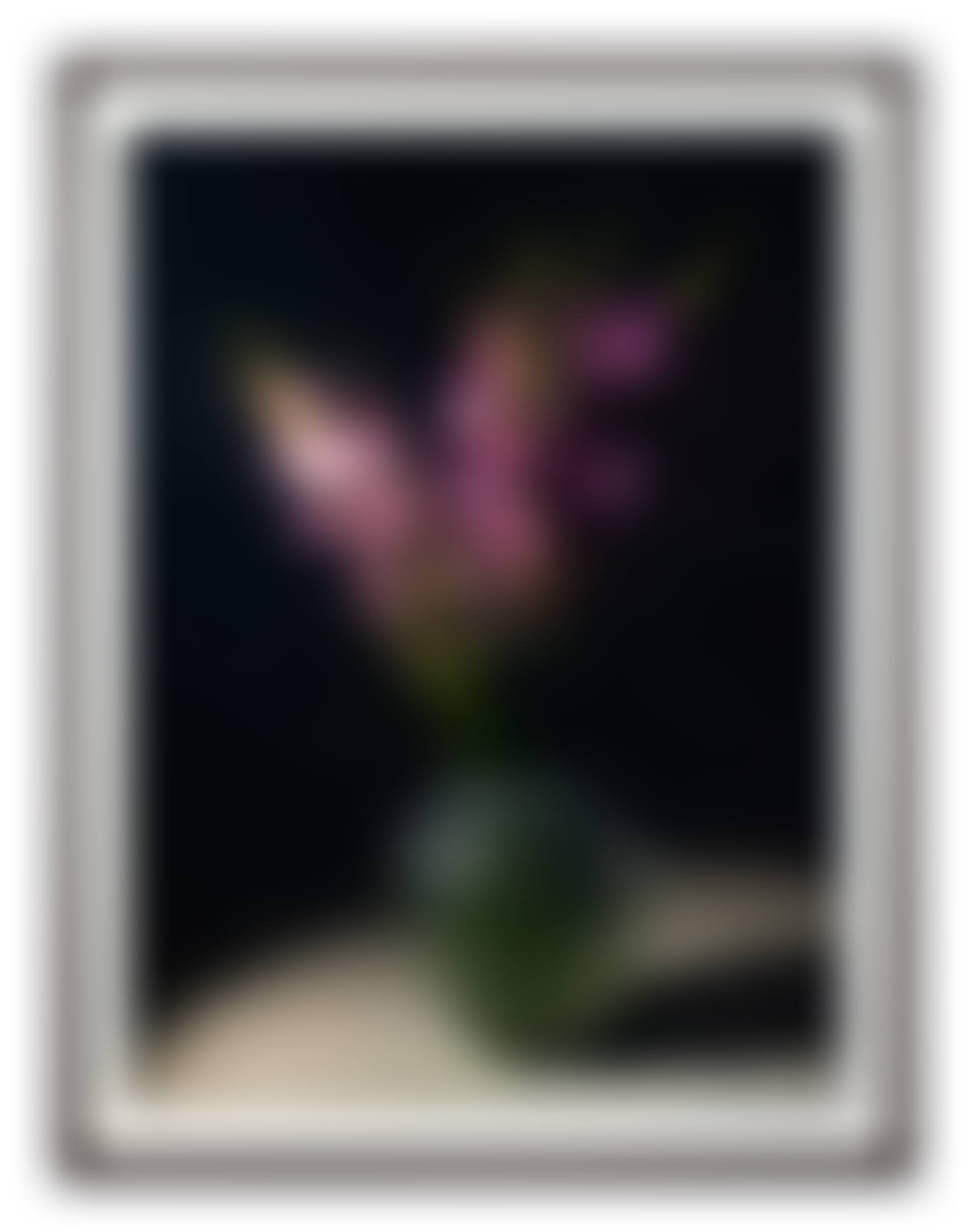Gladiolen (preview)