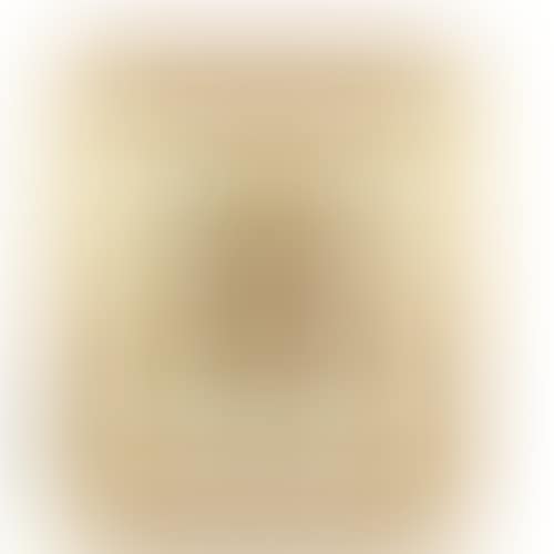 Abstract (preview)