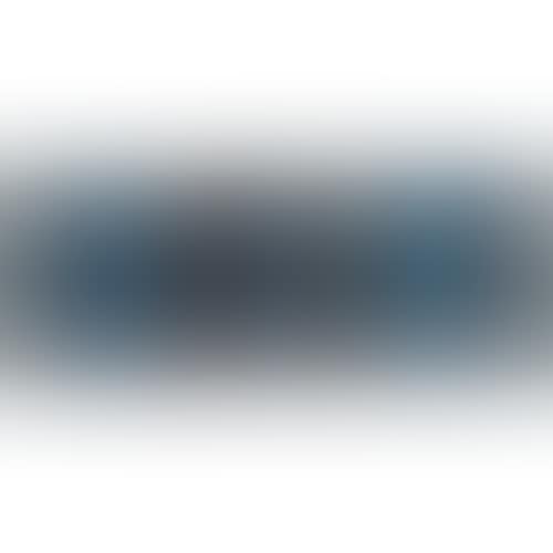 Abstract (preview)