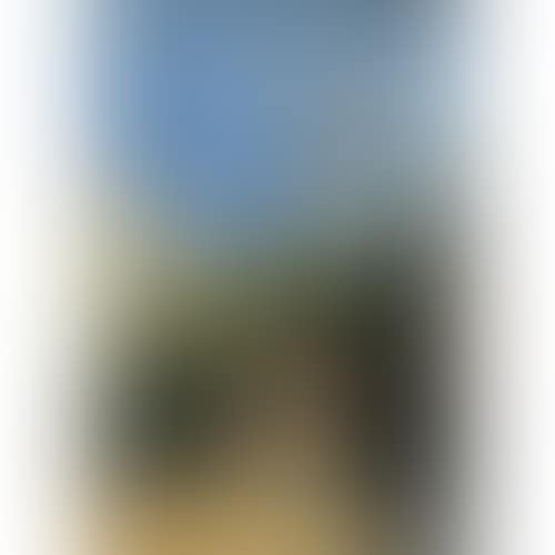 North African street scene (preview)
