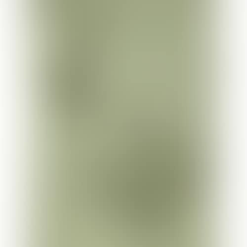 lithograph; abstract (preview)