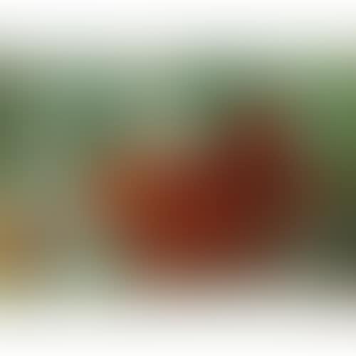still life flowers (preview)