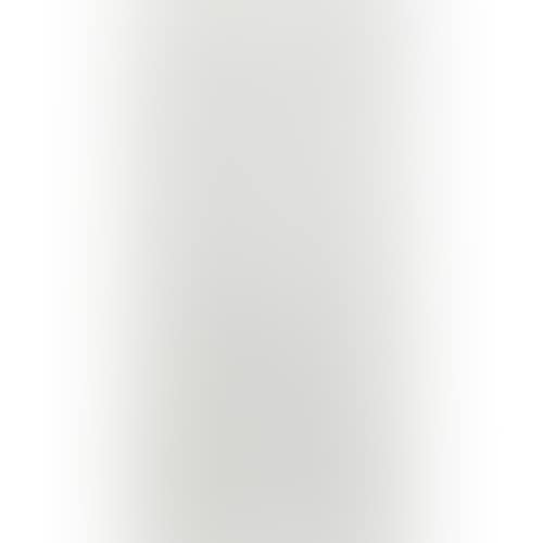 studies of Great White Egret (preview)
