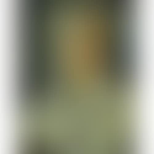 portrait of a woman (preview)