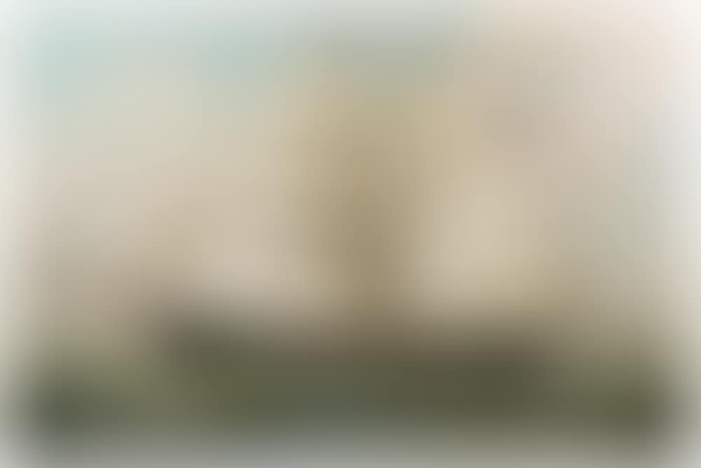 Ship"s Portrait of the Brigantine "Cameo", underway in rough open seas under full sail, with distant sailing ship and steamer (preview)