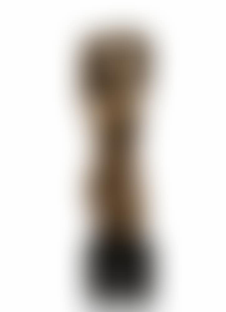 "Figure of a Woman" (preview)
