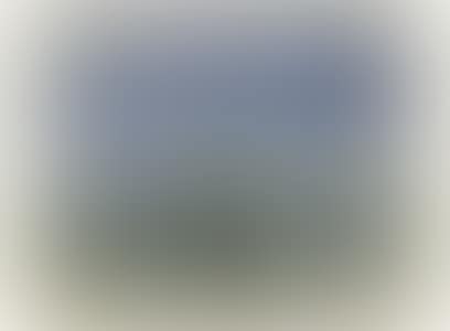 Jonquils Against the Sky (preview)