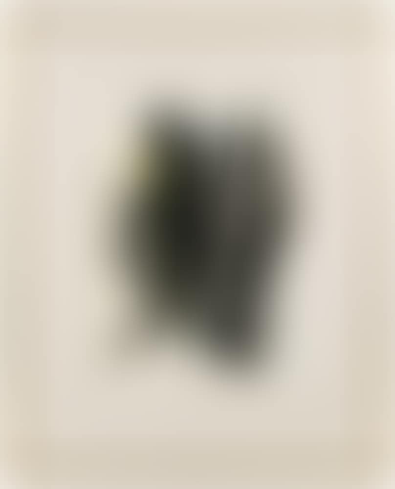 "Scribble" Painting (preview)