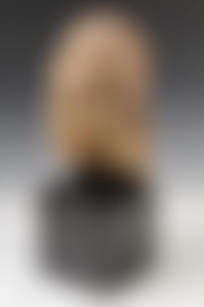 Head of an Aristocratic Man (preview)