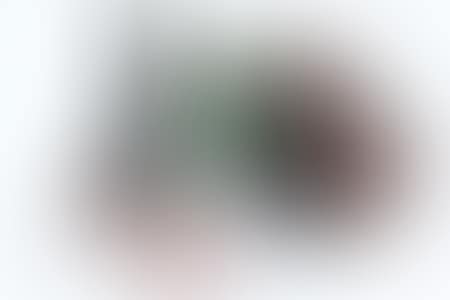 Toy steam roller (preview)