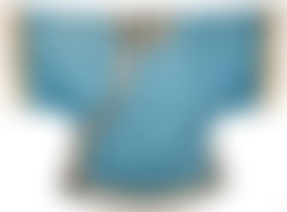 CHINESE SILK ROBE (preview)
