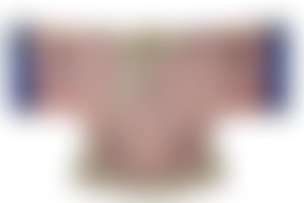 CHINESE SILK ROBE (preview)
