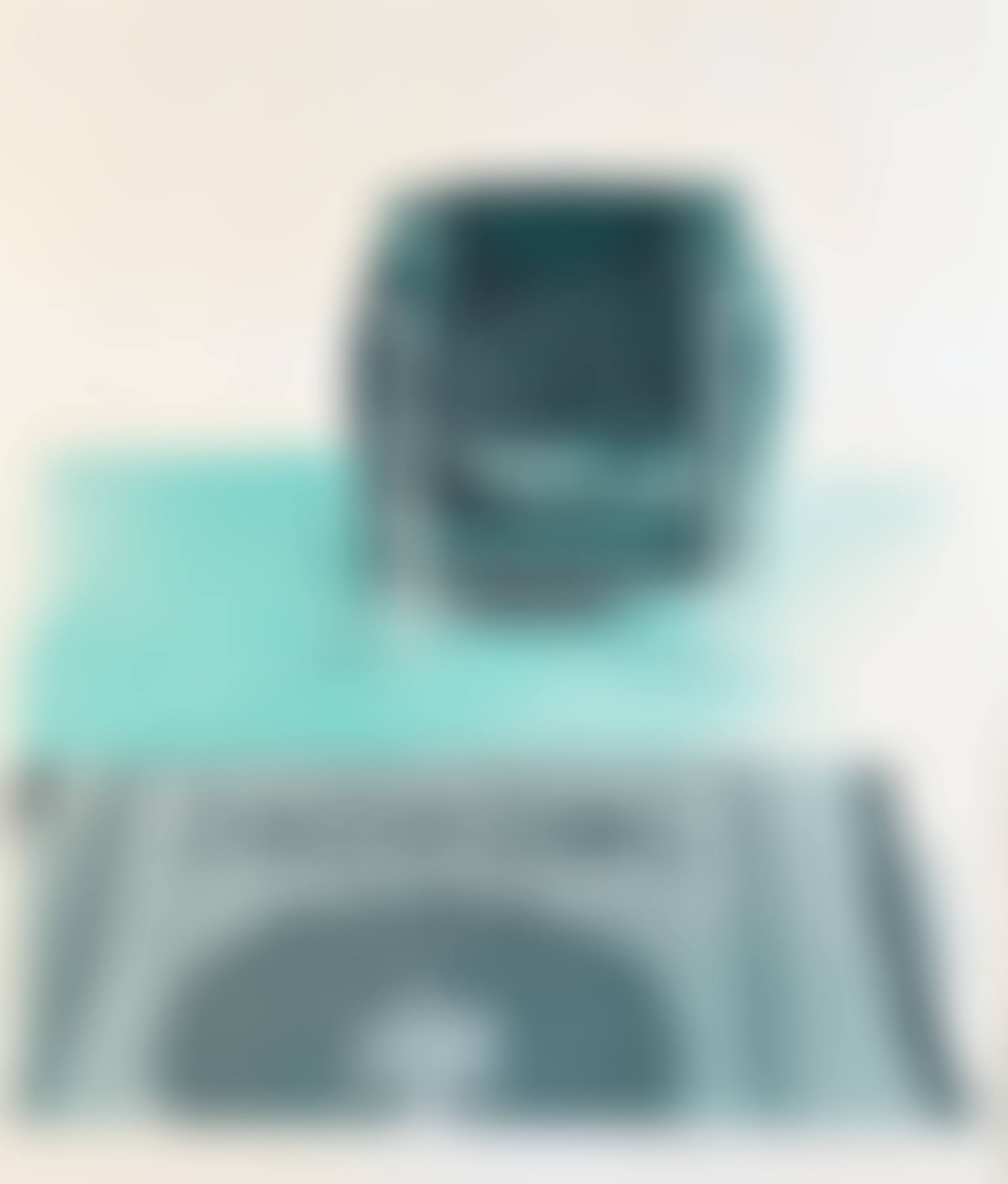 Corbusier Chair and Rug (see Baggott 22) (preview)