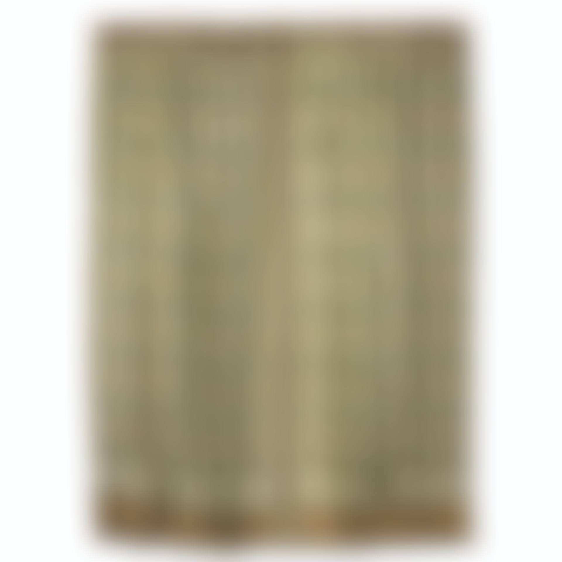 TWO PAIRS OF JAPONISANT DOUBLE-SIDED AND LINED GREEN SILK PLEATED CURTAINS (preview)