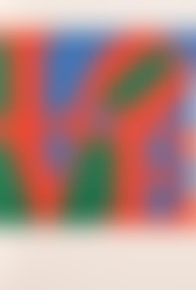 RARE ART FOLIO (preview)